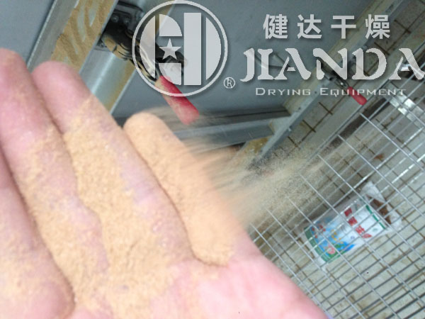 双滚筒刮板干燥机